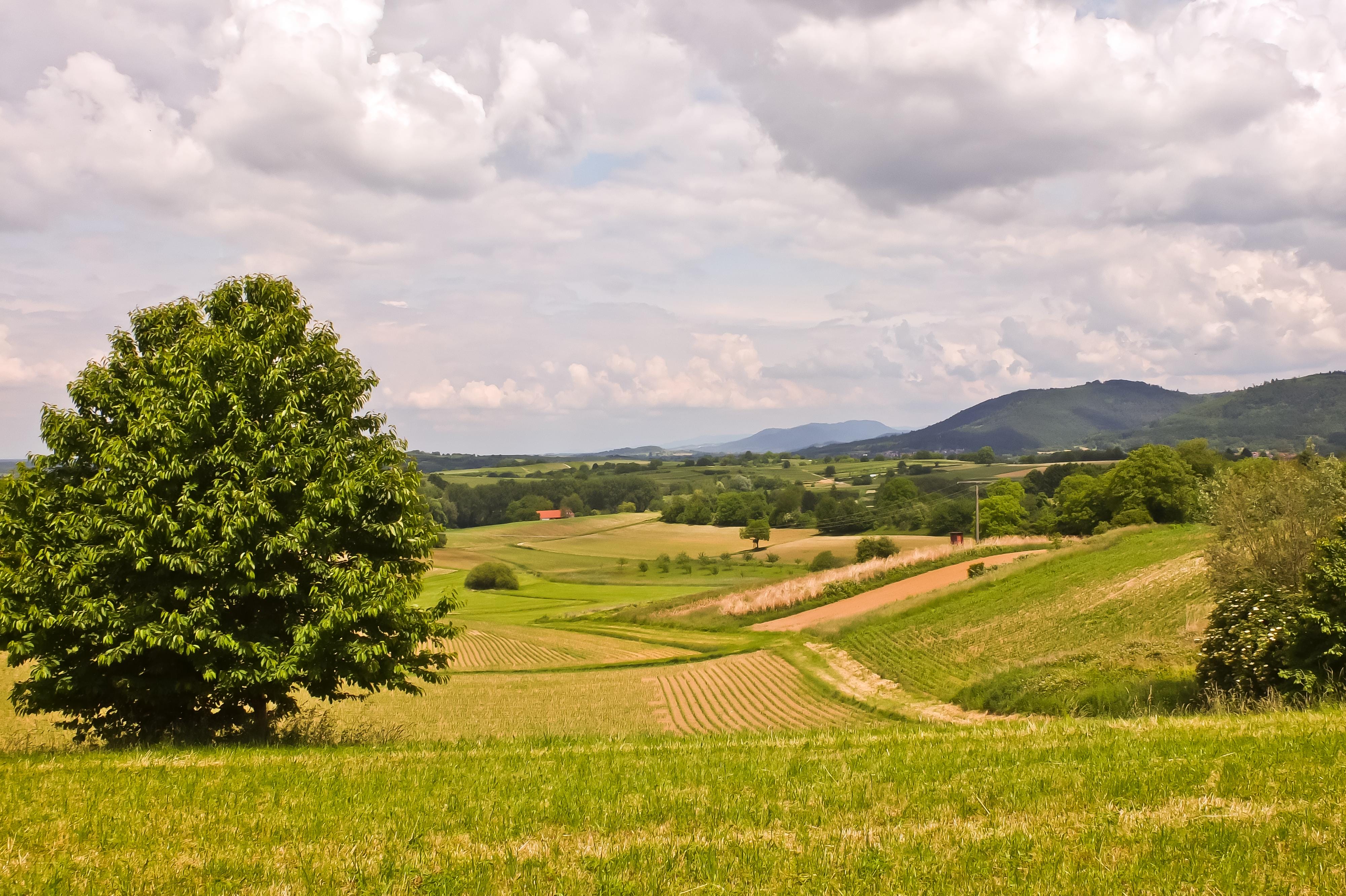 A happy rural farmer standing by a chicken coop